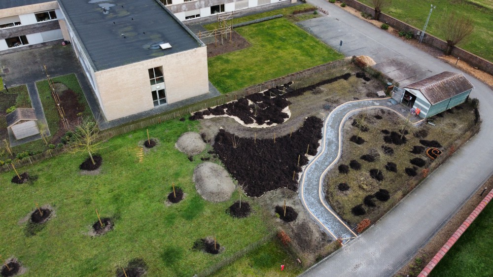 Onderhoud & aanleg tuinen