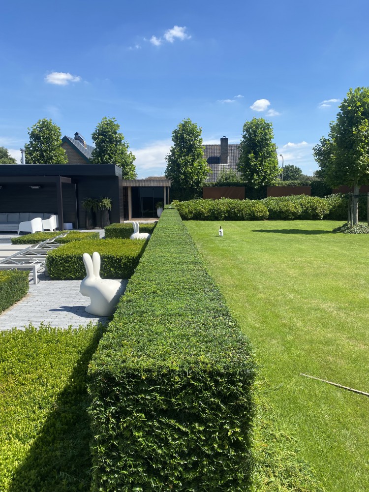 Onderhoud & aanleg tuinen