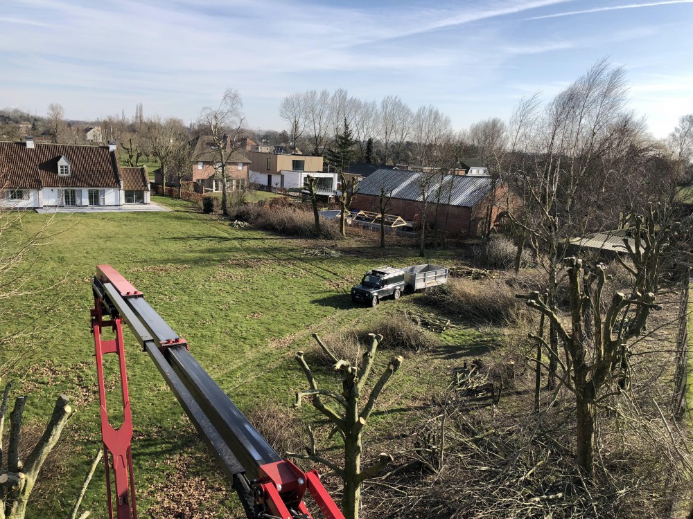 Snoeien en vellen van bomen