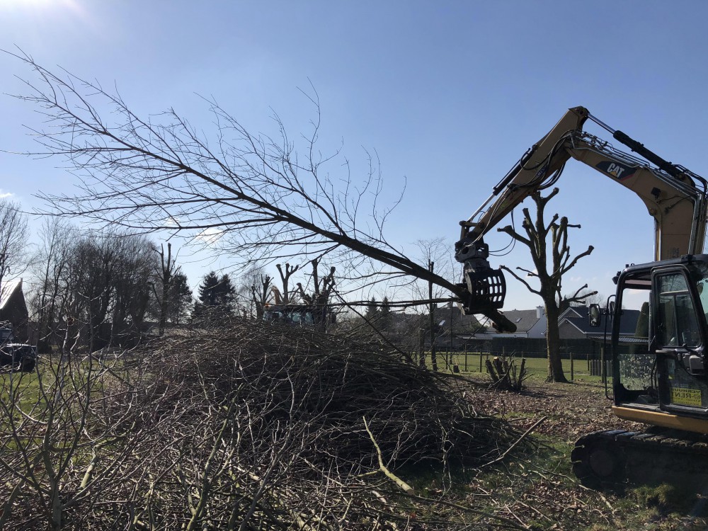 Snoeien en vellen van bomen