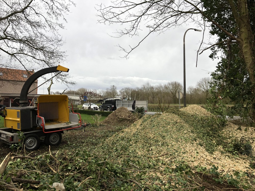 Snoeien en vellen van bomen