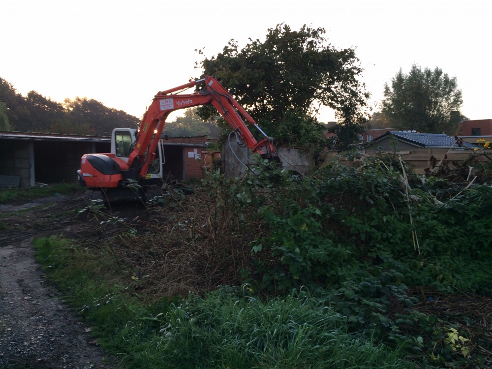 Snoeien en vellen van bomen