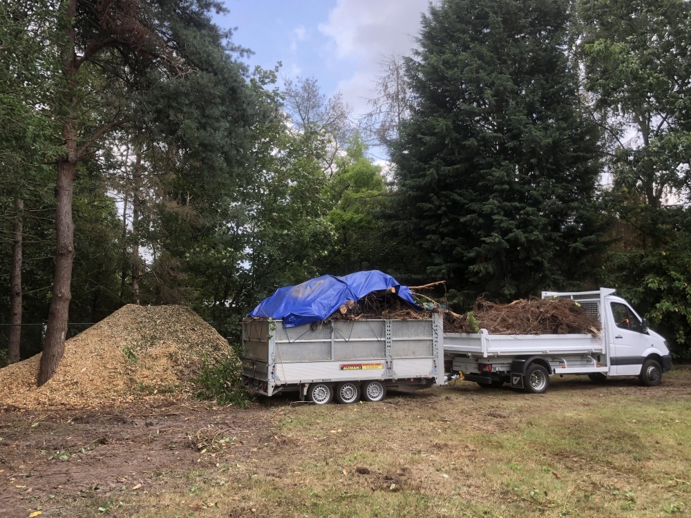 Snoeien en vellen van bomen