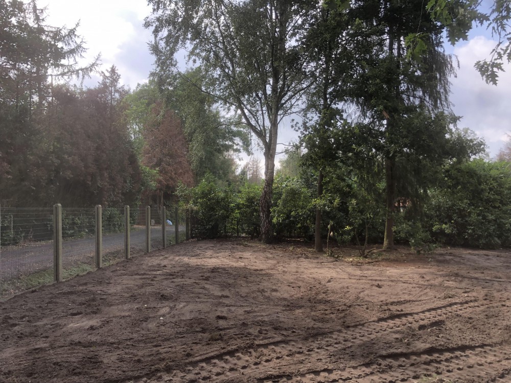 Snoeien en vellen van bomen