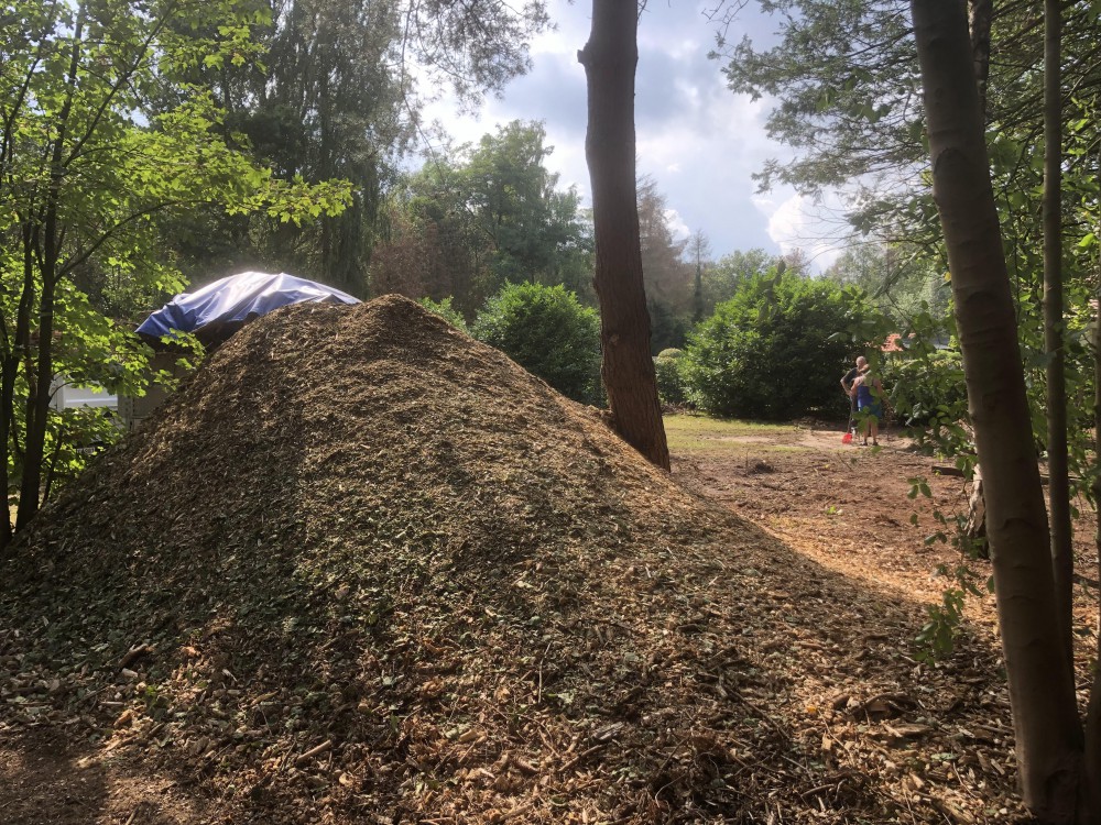 Snoeien en vellen van bomen