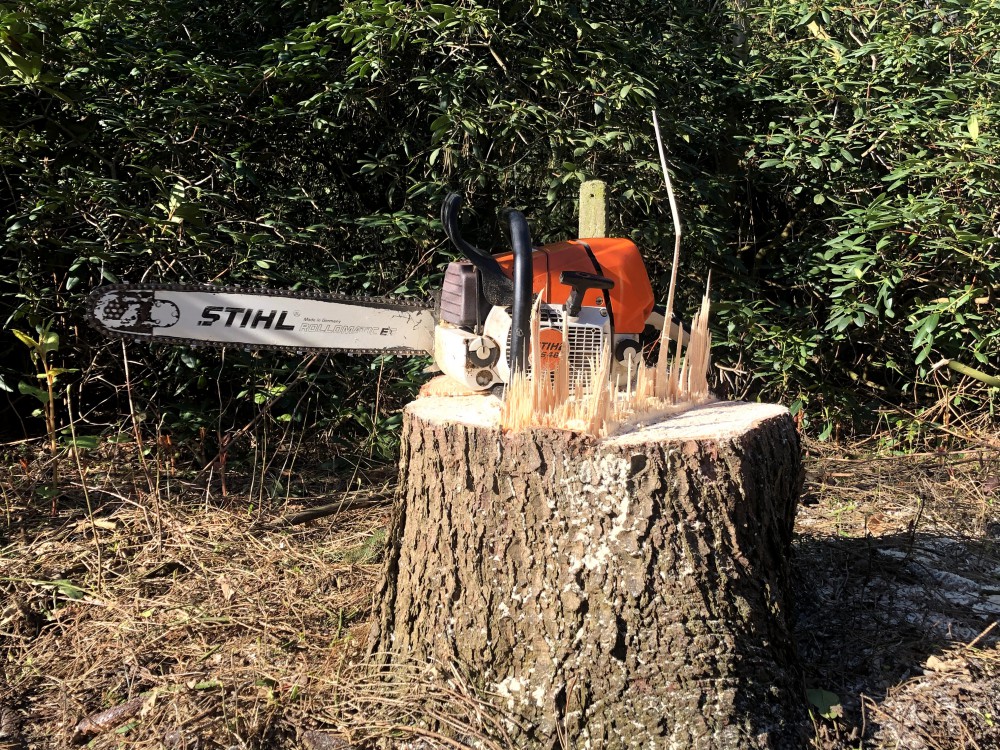 Snoeien en vellen van bomen