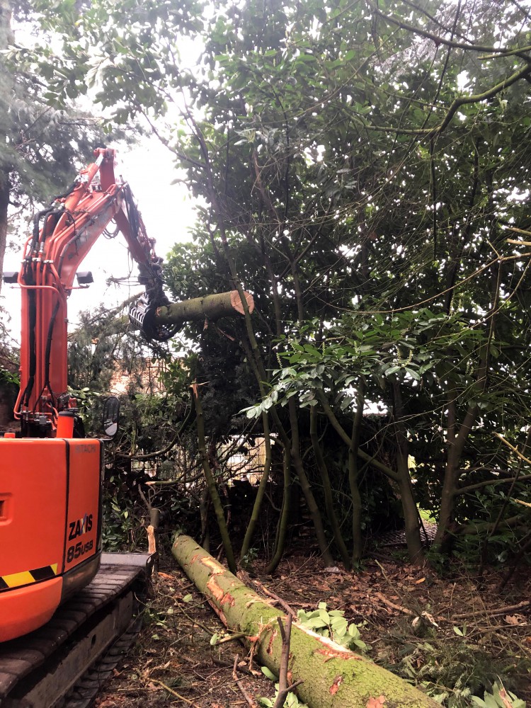 Snoeien en vellen van bomen