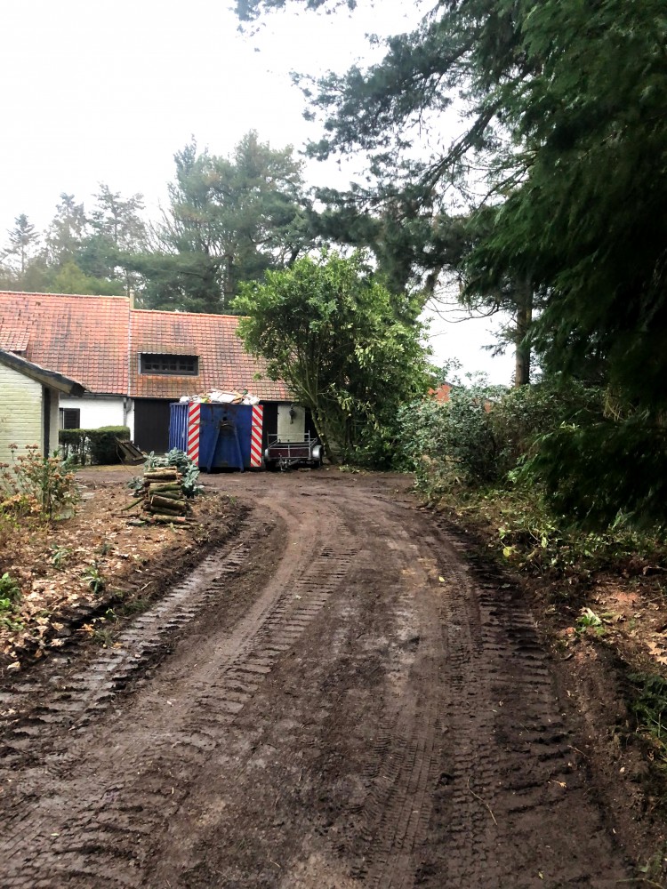 Snoeien en vellen van bomen