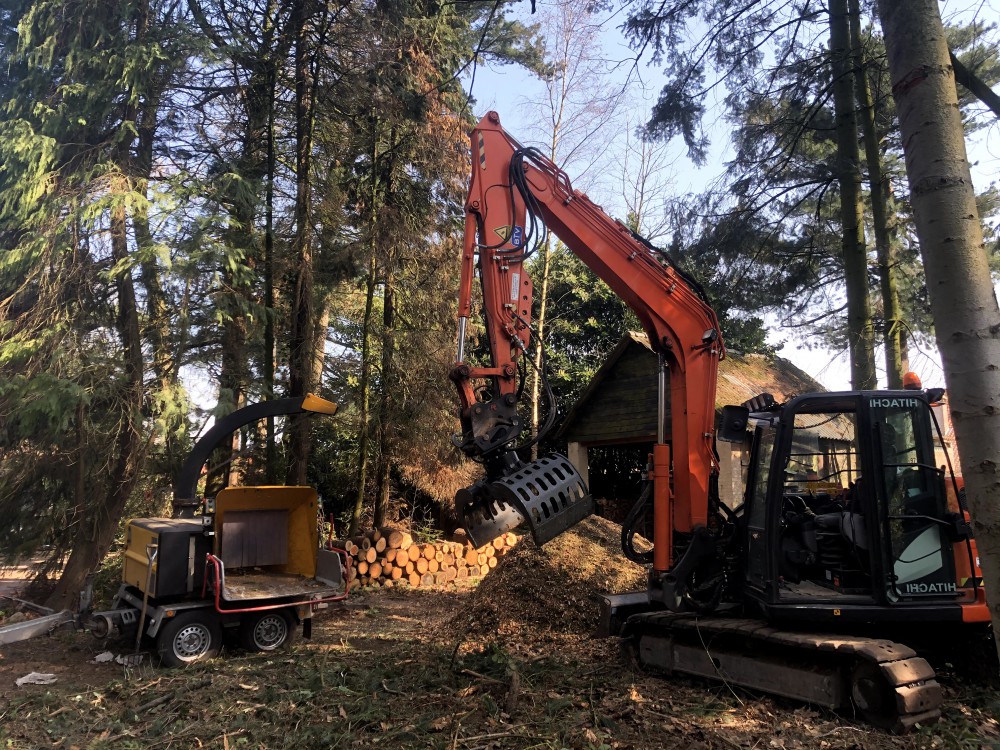 Snoeien en vellen van bomen