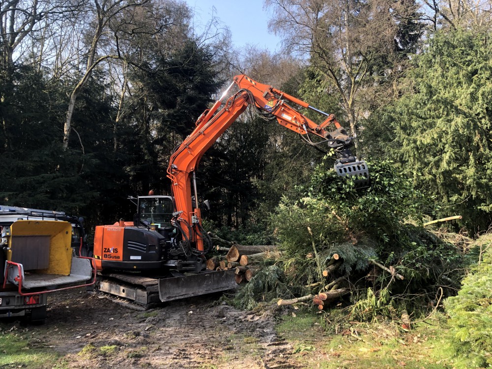 Snoeien en vellen van bomen