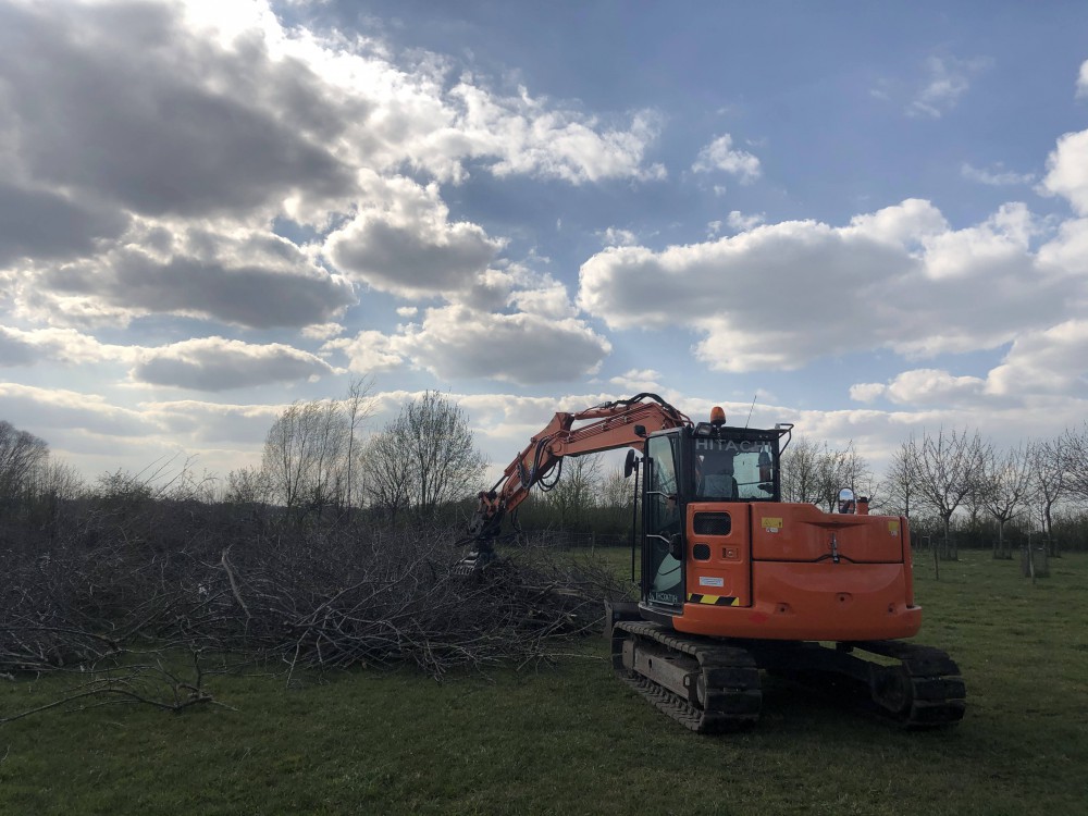 Snoeien en vellen van bomen