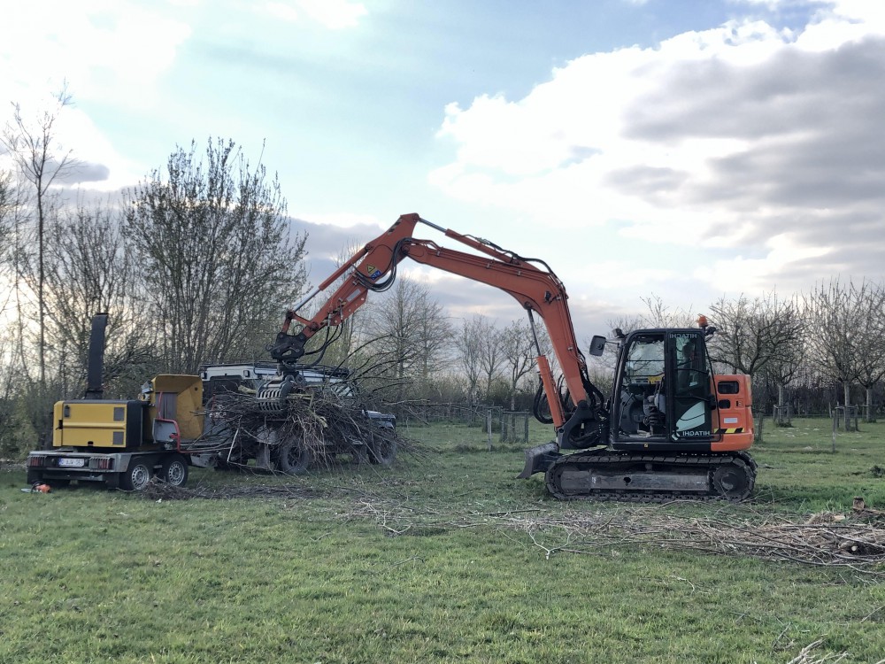 Snoeien en vellen van bomen
