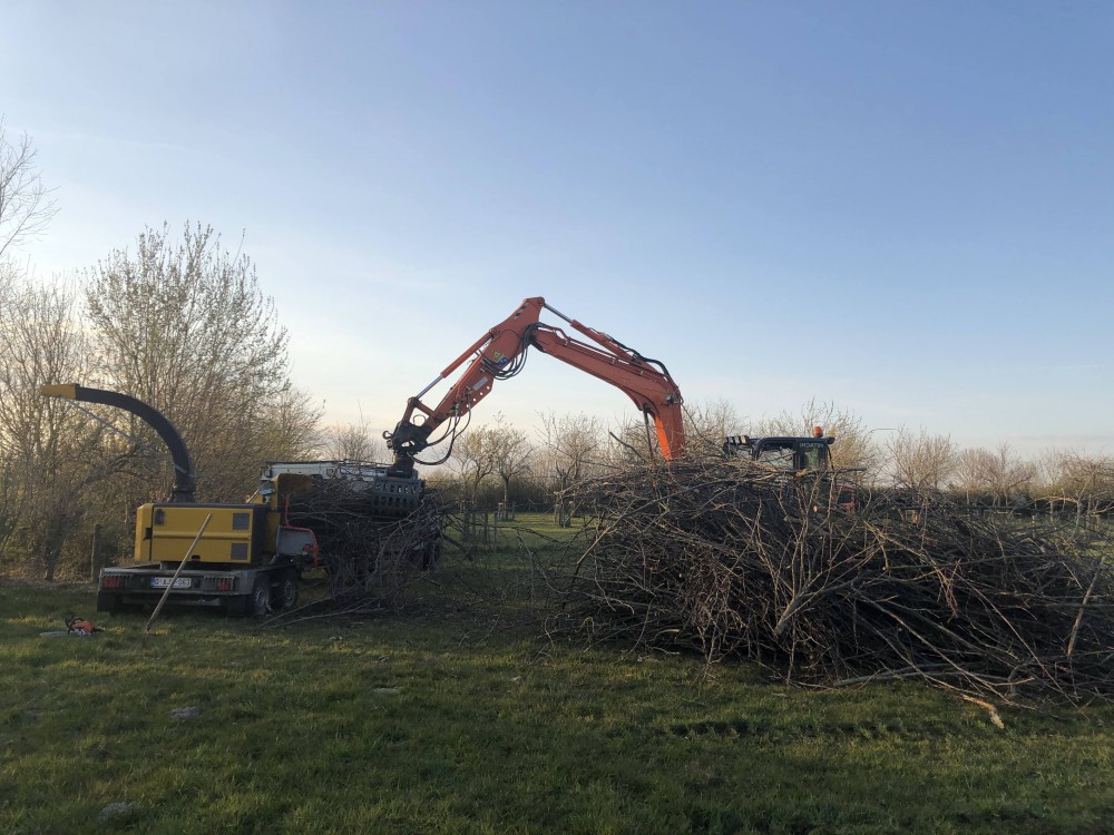 Snoeien en vellen van bomen