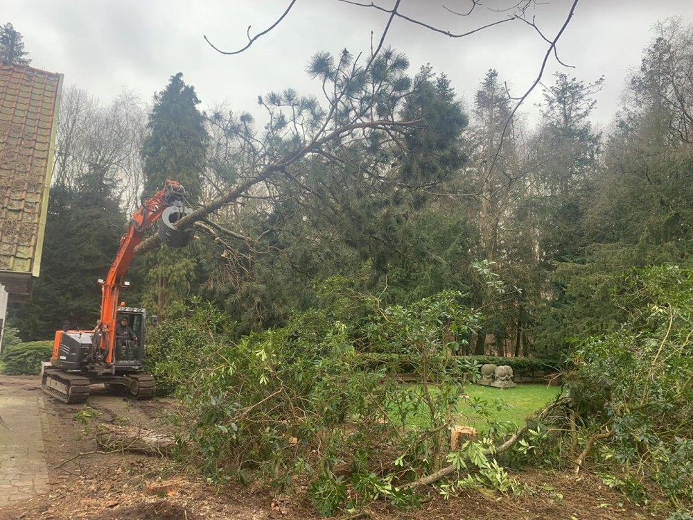 Snoeien en vellen van bomen